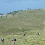 von VWL-Basics-mysteriösen Hautflecken und Zufallsrennen