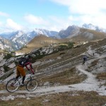 und ein herrlicher Trail