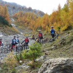 Farbenspiel am Almsteig