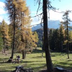 Sonnendurchflutete Almwiesen