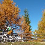 Markus (fast getarnt)