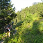 der Trail geht weiter...